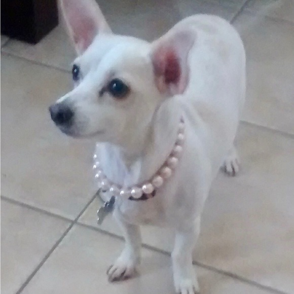 Meet your Posher, Ange - Picture 1 of 12